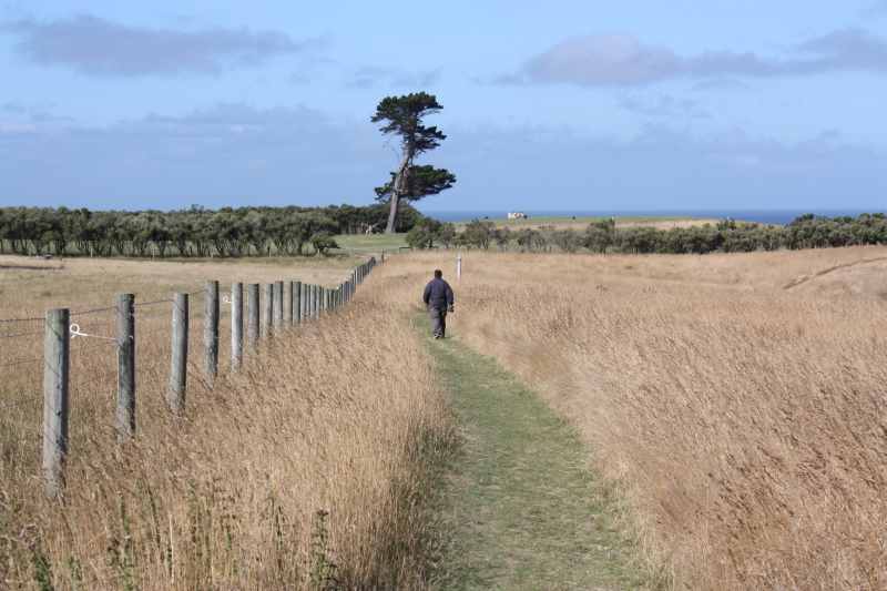 Nieuw-Zeeland 2011 - 1166